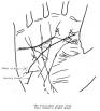 The length of a line is important. Paul Simon's hand displays a good example of very long, well-defined Mercury line. The Mercury line reflects his considerable ability to communicate ideas. The line delves deep into the mount of Moon indicating a strong