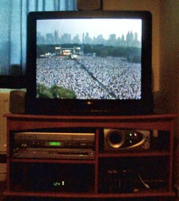 Crowd at the Concert in The Park, 1991