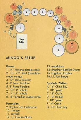 982_Mingo_Araujo_1991_percussion.jpg